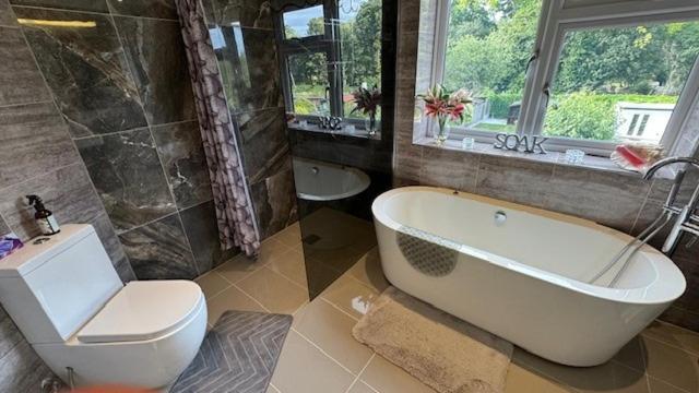 Stunning Double Bedroom Greenwich With Private Bathroom Gazde/Camere de închiriat Londra